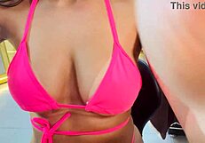 Rosa vermelha eu fui visitado uma vez estou esperando pela segunda visita