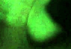 Young Puerto Rican 18-year-old with uncut cock masturbates to cum