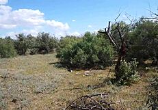 savannah vixen outdoors with mature amateurs