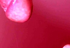 Japanese story with close up cum in mouth?