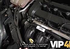 i love how vip4k hot mature brunette texas patti turns men on in public