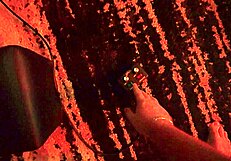 Fucking kendra lynn in a sex dungeon wca productions 😍