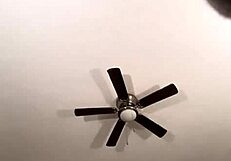 Solo estaba bromeando con mi amigo 😏