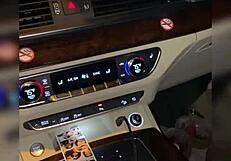 Emo girl begs for black cock face fuck