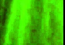 Rose poses in stockings!