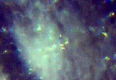 Aqui tienen m�s de mi esperma alcanzar� para pre�arte?