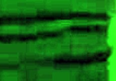 Humiliating Farts Meet Cum Eating Fetish