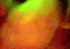 come on record me with big ass blonde blowjob and handjob in homemade pov