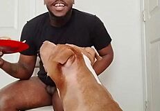 llamasr update 1 mar 18 2025 food solo