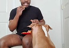 llamasr update 1 mar 18 2025 food solo