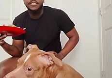 llamasr update 1 mar 18 2025 food solo