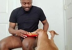 llamasr update 1 mar 18 2025 food solo