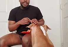 llamasr update 1 mar 18 2025 food solo