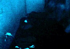 Ah, no me la metas todaaaaa por favor por que me duele