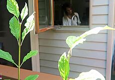 nikki was fucked from behind in doggystyle, her tits bouncing as the cock thrusts deep into her pussy