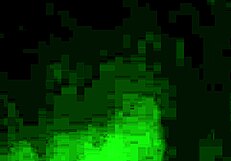 Smiley Joy enjoys tasting Slick Rick's dipstick