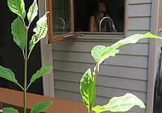 nikki was fucked from behind in doggystyle, her tits bouncing as the cock thrusts deep into her pussy