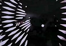 i love vintage erotic illustrations