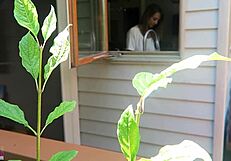 nikki was fucked from behind in doggystyle, her tits bouncing as the cock thrusts deep into her pussy