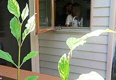 nikki was fucked from behind in doggystyle, her tits bouncing as the cock thrusts deep into her pussy