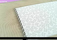 Michella Vienna tries a monster cock for the first time in video one