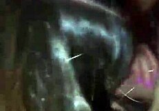 the story of hermosa argenta begins