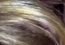 the story of hermosa argenta begins