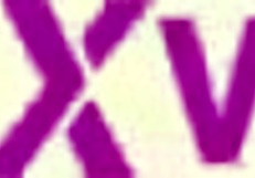 Michella Vienna tries a monster cock for the first time in video one