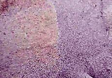 feet in the sand, sensory barefeet footfetish modeling nature