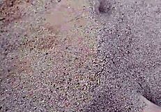 feet in the sand, sensory barefeet footfetish modeling nature