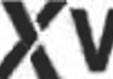 caricias intensas besos profundos y un encuentro que lo muestra todo esta escena est� hecha para los que buscan algo m�s atrevido m�s caliente m�s real