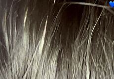 aprendendo a foder sem camisinha no pelo aniversario da vizinha boa