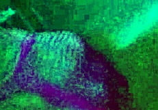 sensual latina deepthroats and sucks big monster cock passionately