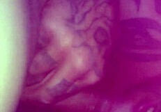 sucking monster shemale cock deepthroat style