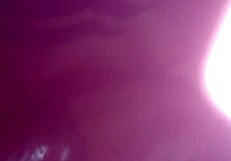 sucking monster shemale cock deepthroat style