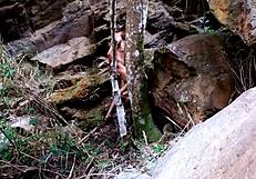 i'm fuckin wit a strangr