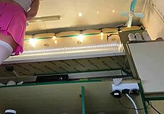 super cute step daughter voyeur hidden camera upskirt at work