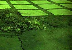 Outdoor Orgy with Big Amazon Domination - First Time Extreme Hardcore Action!