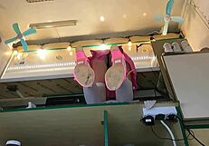 super cute step daughter voyeur hidden camera upskirt at work