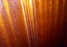 Big Ass Latina Madrastra Gets Anal Creampie