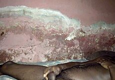 Solo bed time without a girlfriend