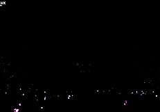 Born Pink Blink Concert