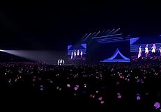 Born Pink Blink Concert