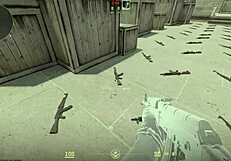 Experienced Counter-Strike Player With 1500 Hours Gets Defeated By Novice With 250 Hours