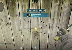 Experienced Counter-Strike Player With 1500 Hours Gets Defeated By Novice With 250 Hours