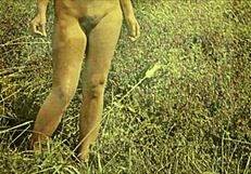 Vintage Mother Nature Reveals Hairy Beaver In Retro Setting