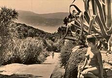 Vintage Mother Nature Reveals Hairy Beaver In Retro Setting