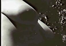 Vintage Mother Nature Reveals Hairy Beaver In Retro Setting