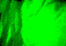 Jerking with my wifes panties