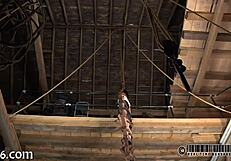 Collaring a sweetheart in a playful way